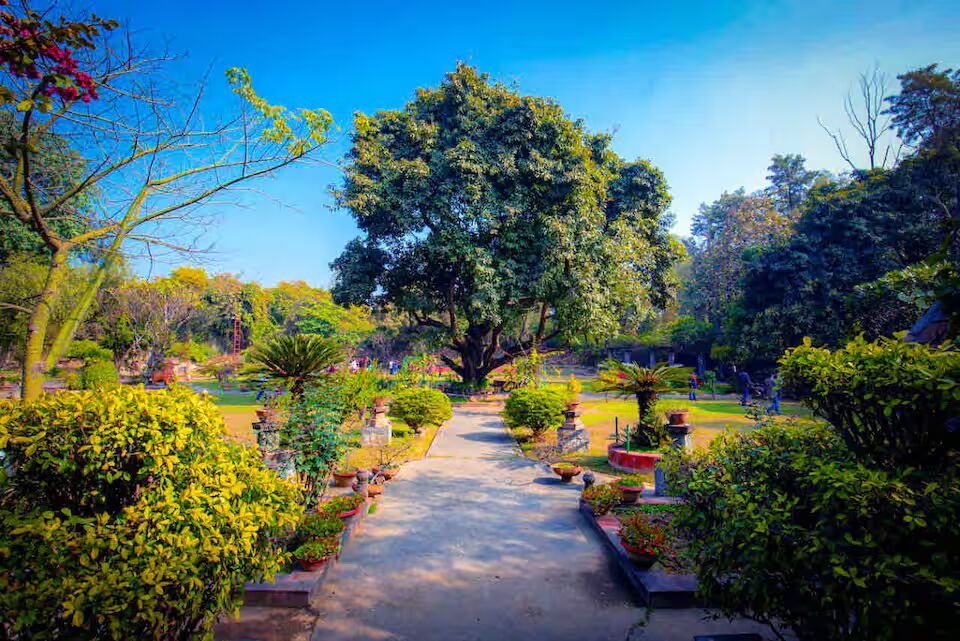 8 Mandi Hills by 8MH | Boutique Farmstay with Pool