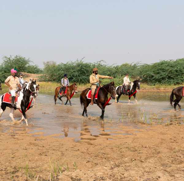 BIJAIPUR HORSE SAFARIS