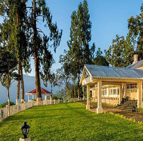 GING TEA HOUSE | DARJEELING