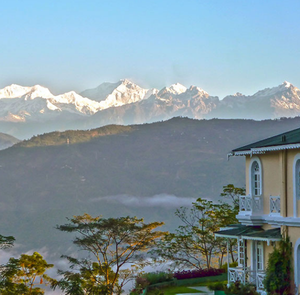 GLENBURN TEA ESTATE | W.B.