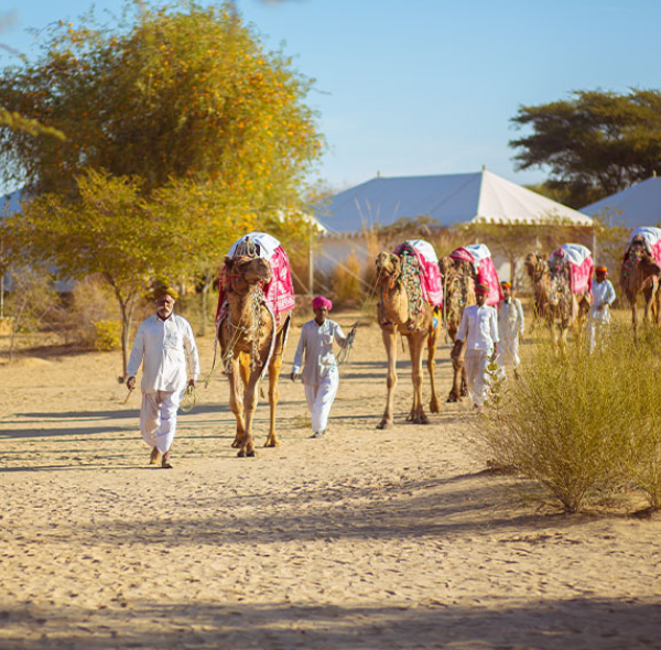 MANVAR LUXURY CAMP | RAJASTHAN
