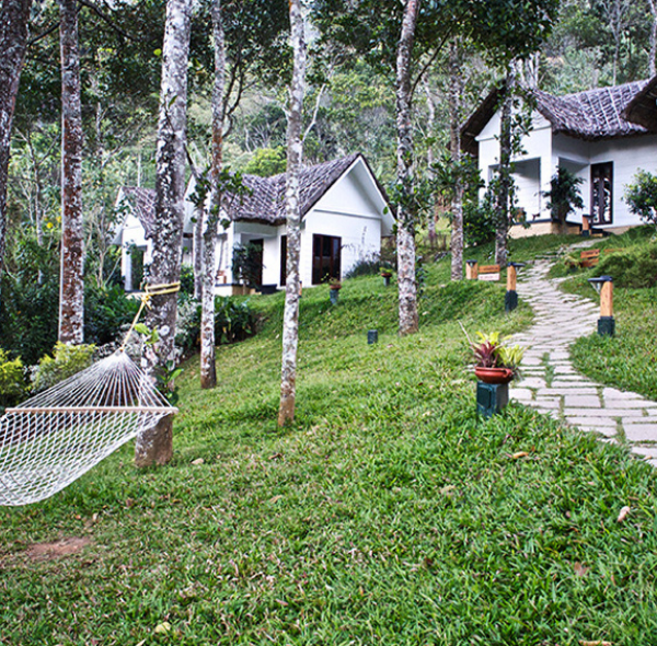 NIRAAMAYA RETREATS | THEKKADY