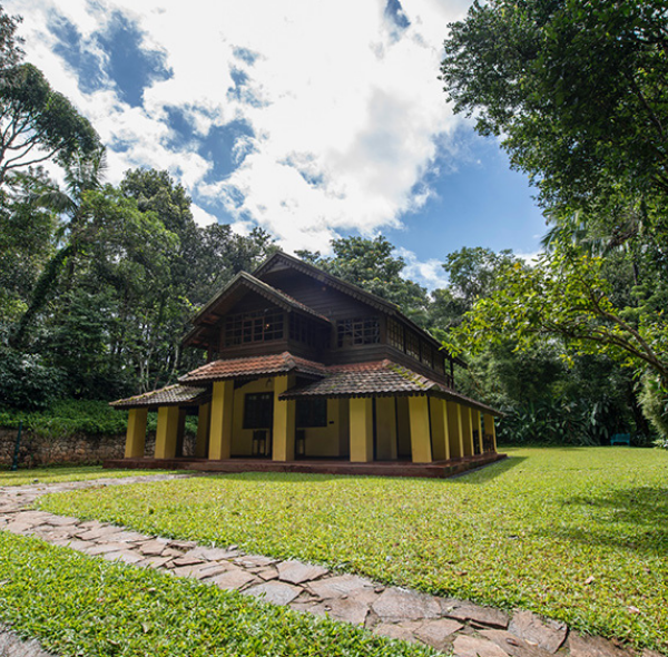 PEPPER TRAIL | KERALA