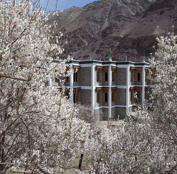 THE APRICOT TREE HOTEL | SRINAGAR