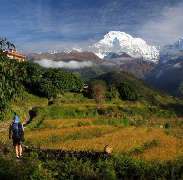TIGER MOUNTAIN POKHARA LODGE