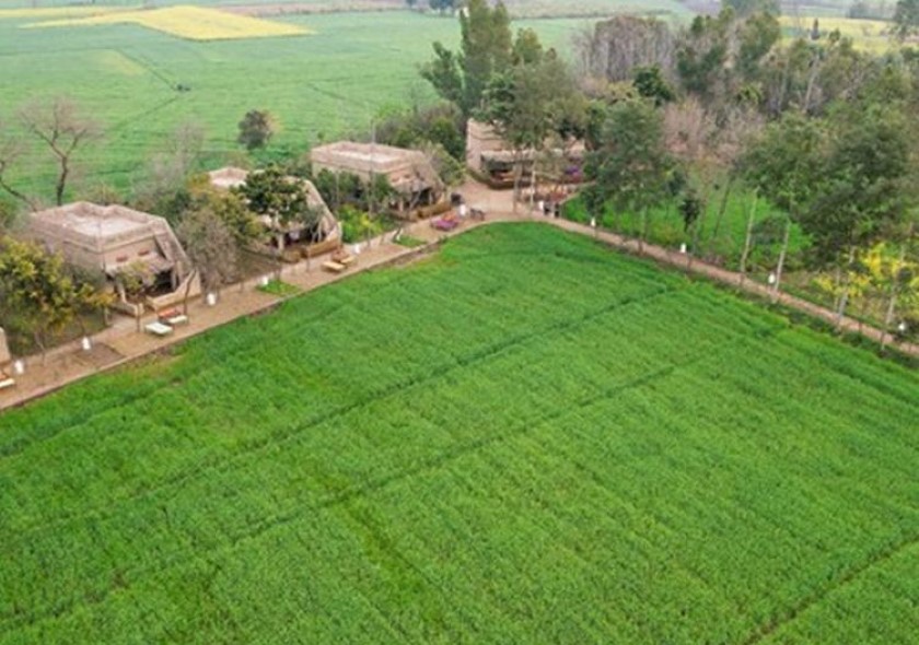Farmstay in Punjab x 8MH