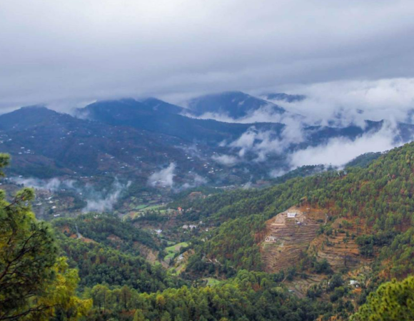 Exploring Dehradun: 10 Must-Do Activities in the Serene Valley